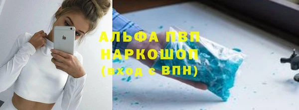 шишки Абинск