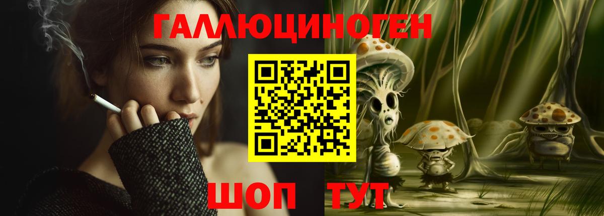 Псилоцибиновые грибы Psilocybe  Вход с VPN  Темрюк 